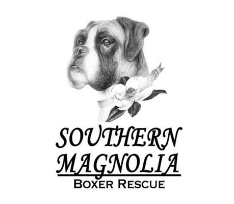 Southern Magnolia Boxer Rescue